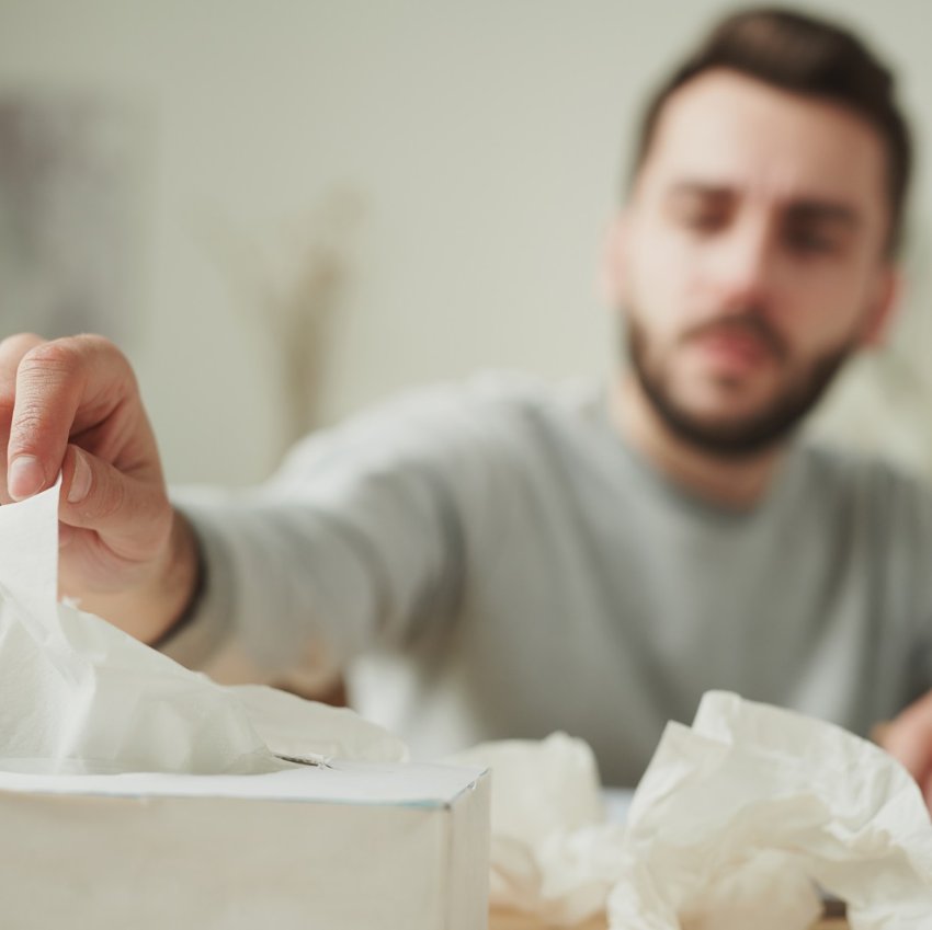 Megfázás vagy szénanátha: akkor most pollenallergiás vagyok?